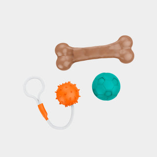 Pet Toys