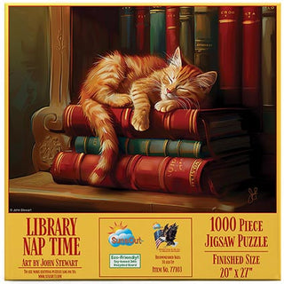 Sunsout Puzzle 1000pc Library Nap Time