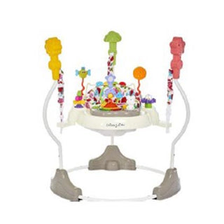 Zany Activity Center Bouncer