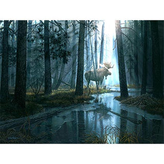 Sunsout Puzzle 300Pcs Caught By Light