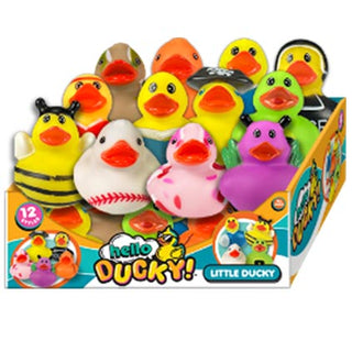 Hello Duck Little Ducky CDU24