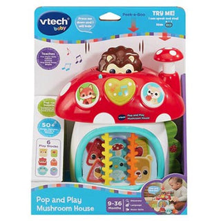VTech Baby Put and Take Peek-a-Boo House
