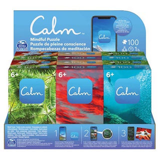 Puzzle Calm Mindful 100pc CDU12