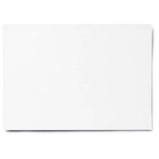 Bristol Board 22 x 28in White D50