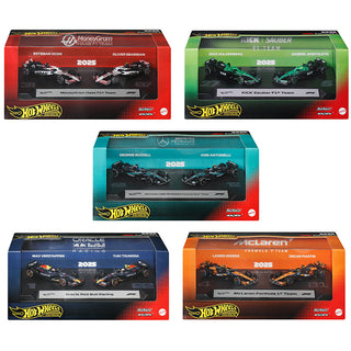 Hot Wheels Premium Race 2Pk Asst CDU4