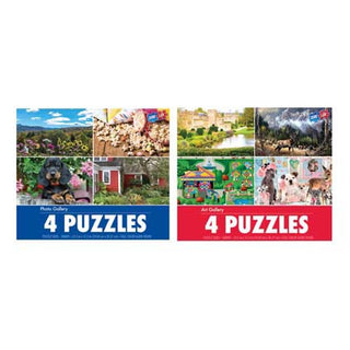 4 In 1 Photo and Art Multipack