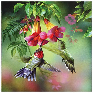 Sunsout Puzzle 1000pc Summer Hummer