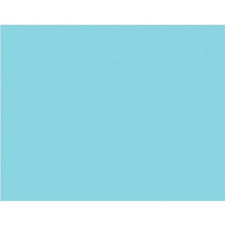 Bristol Board 22 x 28in Light Blue D50