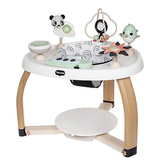 Tiny Love 5-1 Here I Grow Activity Center Station