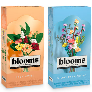 PlayDoh Blooms Petite Bouquet Asst
