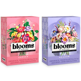 PlayDoh Blooms Bouquet Asst
