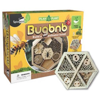 Spice Box Play and Plant Bug BnB