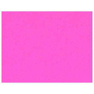 Bristol Board 22 x 28in Fluorescent Pink D50