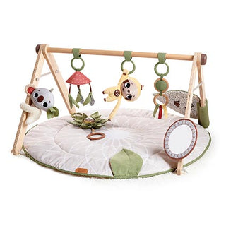 Tiny Love Boho Luxe Gymini