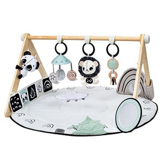 Tiny Love Black and White Décor Luxe Gymini