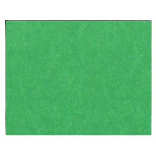 Bristol Board 22 x 28in Green D50