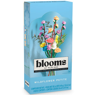 PlayDoh Blooms Wildflower Petite Bouquet