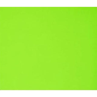 Bristol Board 22 x 28in Fluorescent Green D50