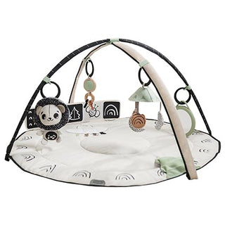 Tiny Love Black and White Décor Gymini