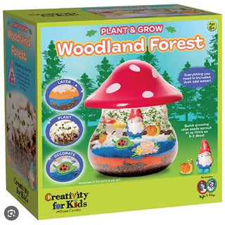 Creativity For Kids Plant and Grow Woodland Forest